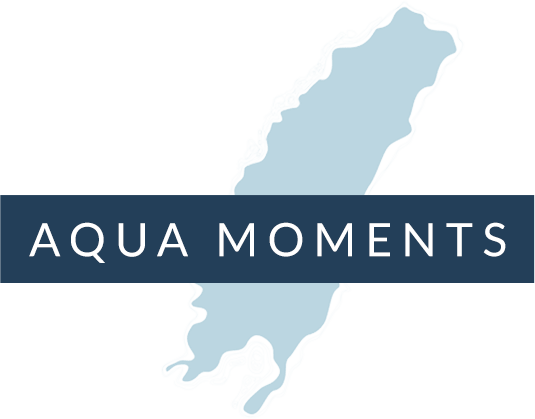 aqua moments logo